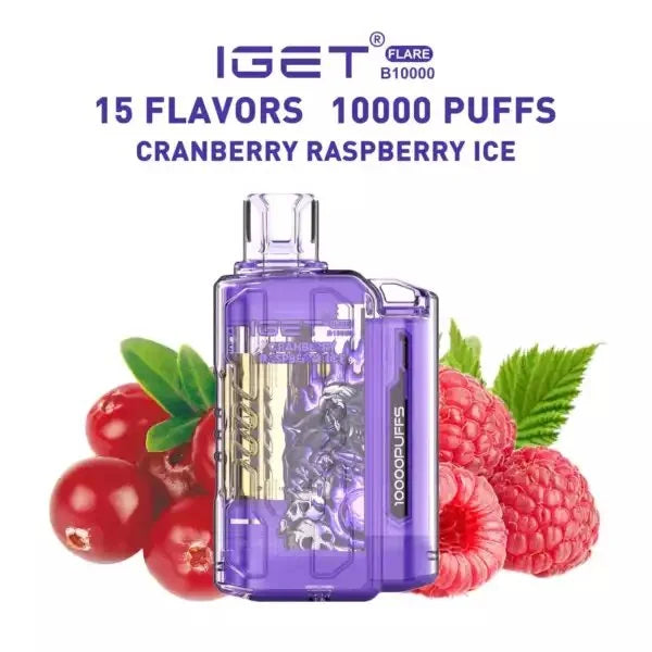 IGET FLARE B10000 – Cranberry Raspberry ice - Vape Shop Surat