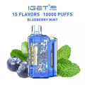 IGET FLARE B10000 – Blueberry Mint - Vape Shop Surat
